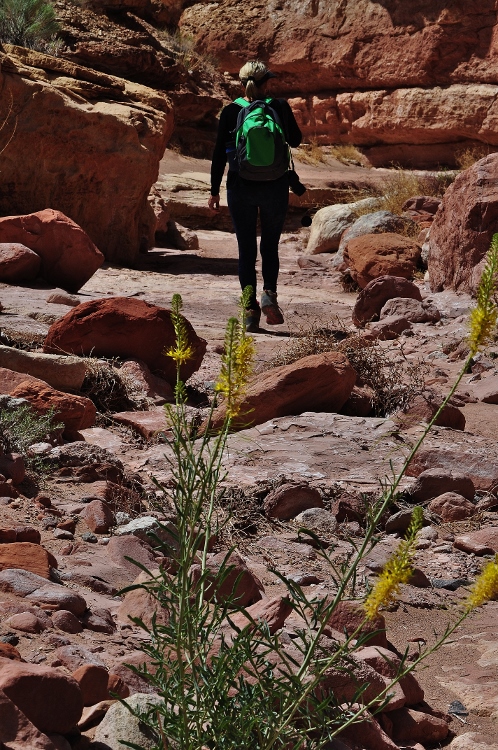 Cathedral Wash